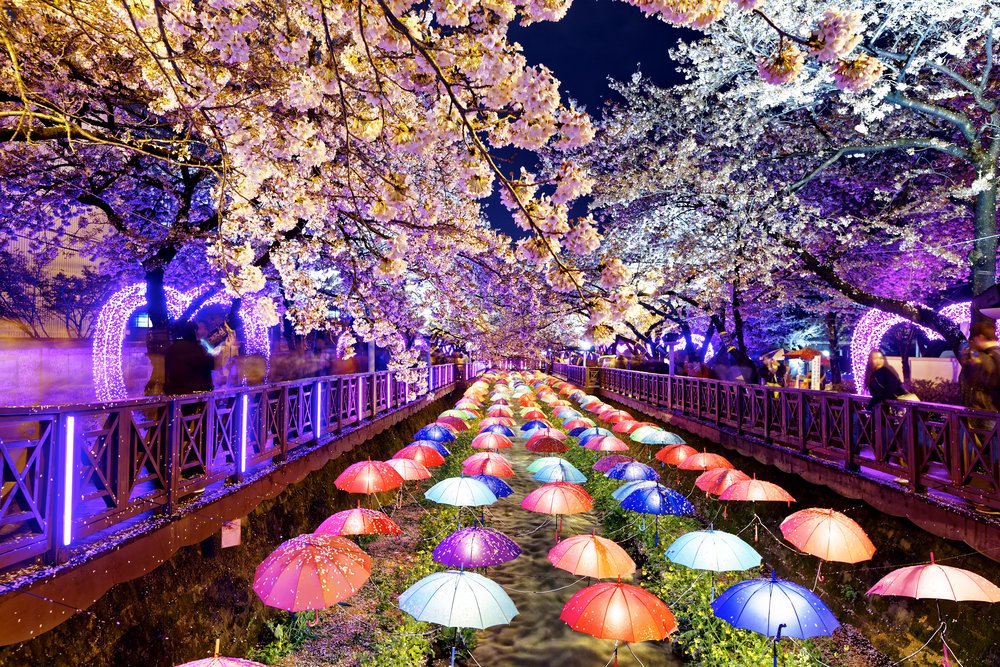 Diamond Princess ile Büyük Japonya ve Güney Kore Turu