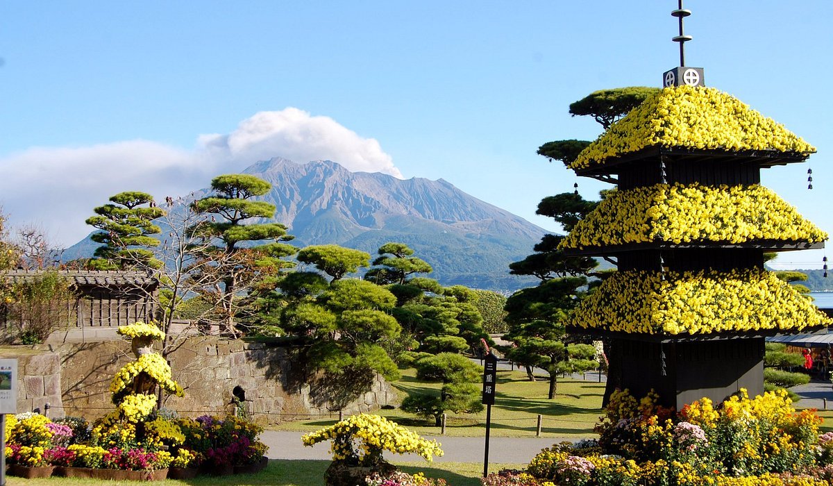 Vizesiz MSC Bellissima ile Japonya ve Güney Kore Gemi Turu