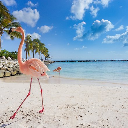 Legend of the Seas ile Güney Karayipler Gemi Turu 