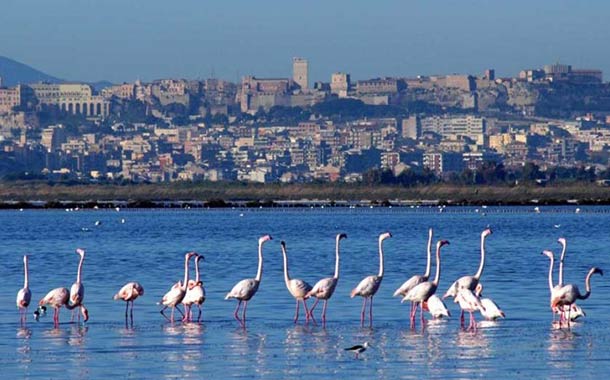 Kurban Bayramı Costa Smeralda ile Batı Akdeniz ve Sardinya Gemi Turu 