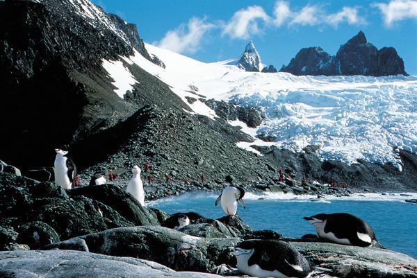 Celebrity Equinox ile Vizesiz Güney Amerika ve Antarktika Gemi Turu