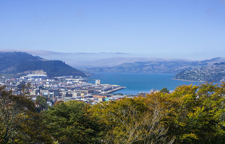 Timaru Yeni Zelanda Limanı