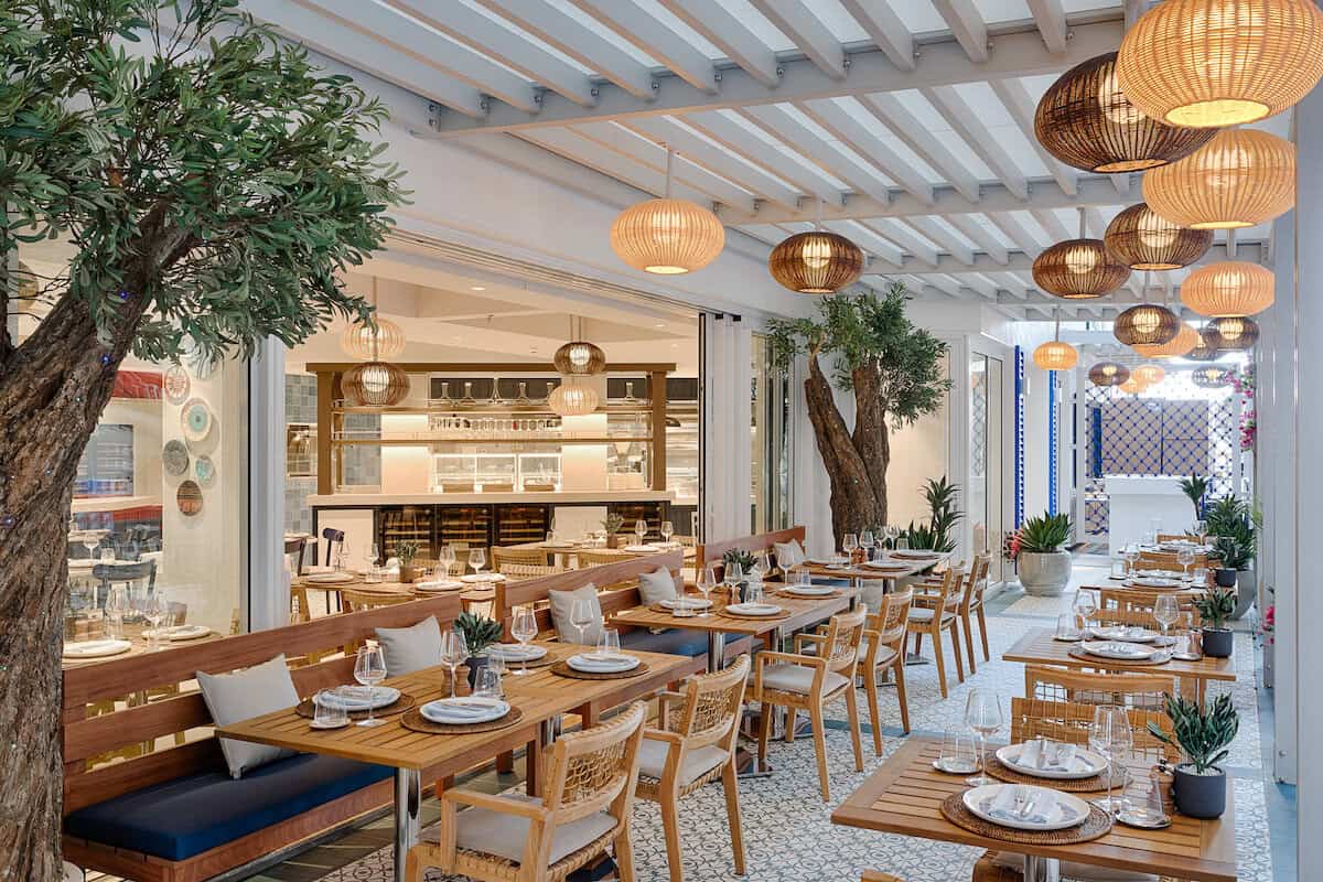 MSC World America - MSC World America-906498