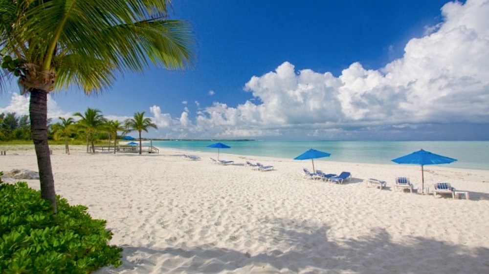 Bimini, Bahamalar Limanı