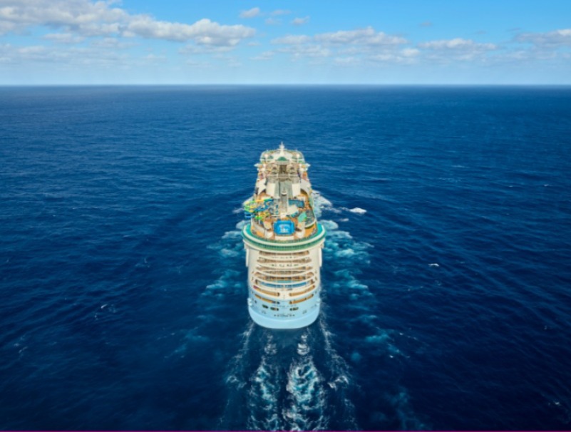 Freedom of the Seas - Freedom of the Seas-907510