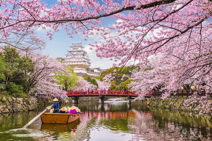 Sakura Sezonunda NCL Jade ile Japonya ve Güney Kore Gemi Turu