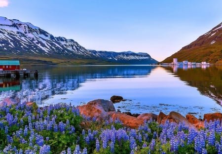 Celebrity Silhouette ile İzlanda Gemi Turu