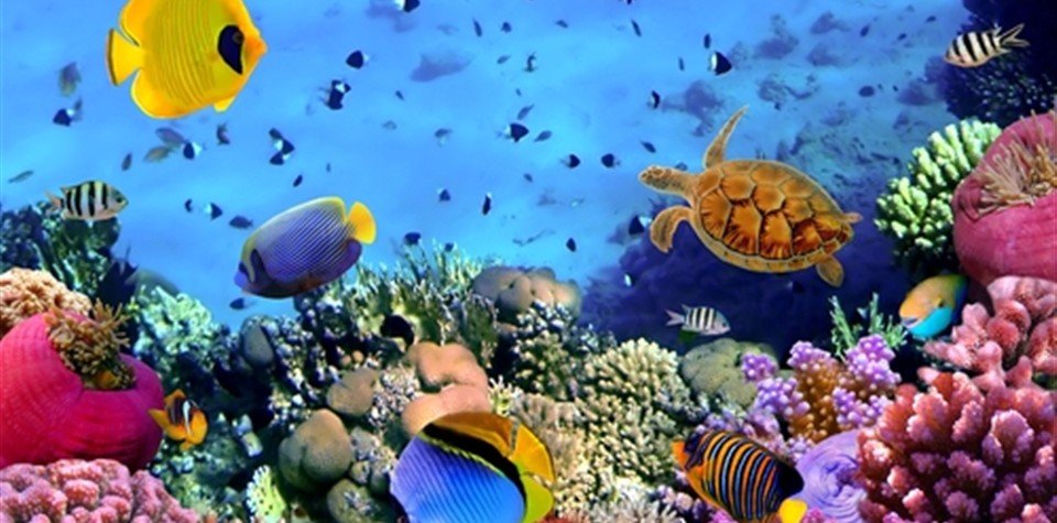 Vizesiz Aroya Cruises ile Ege`nin İncileri Süveyş Kanalı ve Şarm El-Şeyh