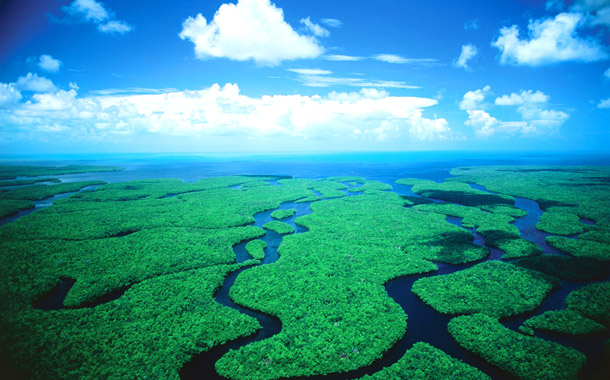 Port Canaveral Limanı